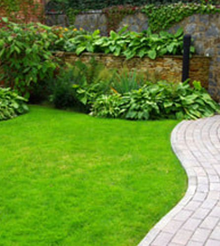 Barnet Drainage Backed Grass